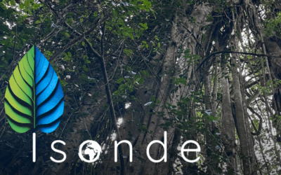 High-Integrity Nature Finance Fuels Southern Africa’s Future